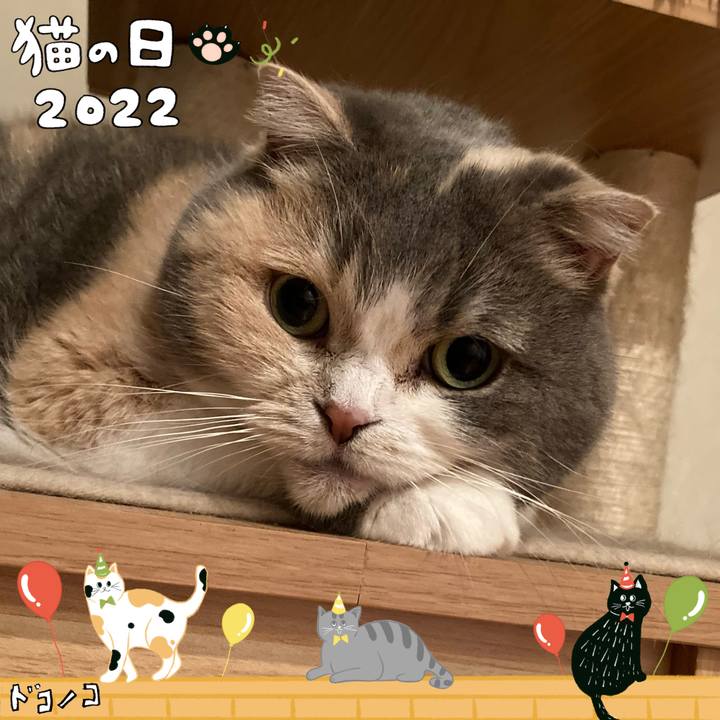 59fadde6 501f 4dbd 80ec 8fafbed97930 1645495799591