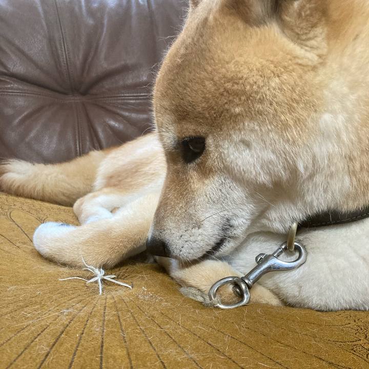 59faf813 bdce 4790 8f32 dedb93eb33a3 1622932220705