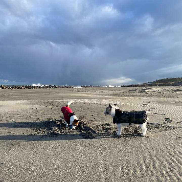 59fb3121 3357 4f2d bd0e 757689978b0b 1707609339060