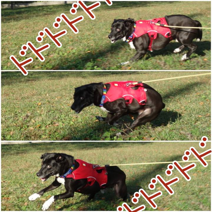 59fb3af7 4450 4113 8166 c4192c01658d 1666831122405