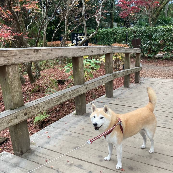 59fb54d8 81b3 4465 878d fead7d6e37d5 1636297736395