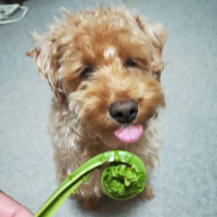 59fb5588 48ab 4737 a5dc 542538c5a9a5 1525267201865