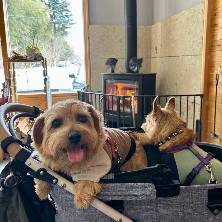 59fb64d7 0c5f 46ca 9af3 36e6498e4edc 1762617036413