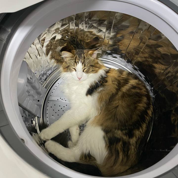 59fb6583 0739 454a 86cd 784044bc660f 1654513405282