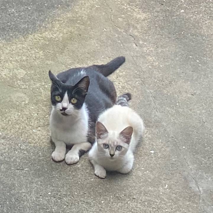 59fba06e ff04 47a7 bf13 ca2b21b928e1 1658062290548