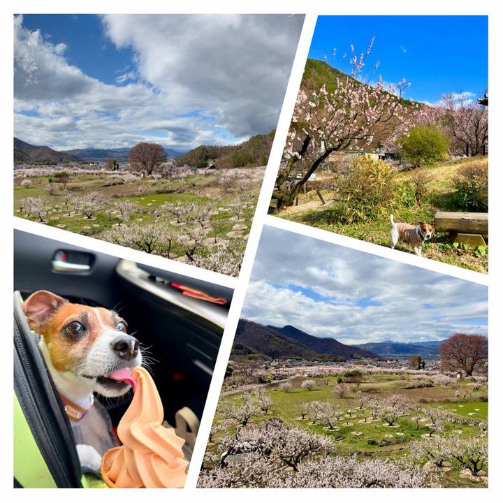 59fbb736 fb46 471d b1b6 16961123acbe 1775140230065