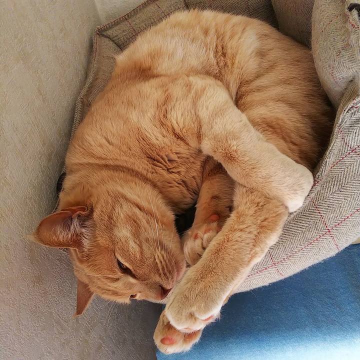 59fbcd61 fd87 4aae a2eb 2dd507be1721 1648098816333