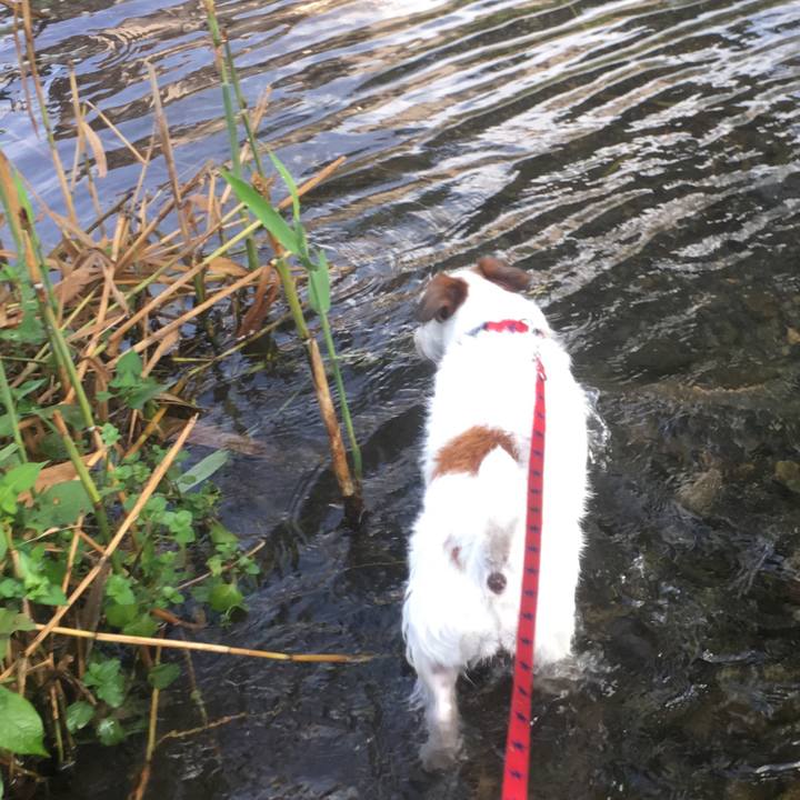 59fc468c 1773 44a1 bec8 14af3746a6d8 1565606551587