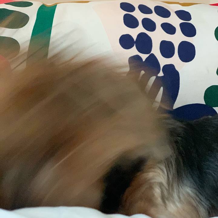 59fc491b 0c7c 423c 951f 3234fdf28732 1587249152847