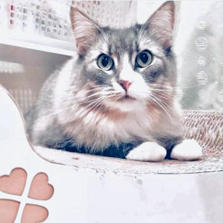 59fc79ef cb4d 486c 9fea a4aaaea31afd 1749742724196