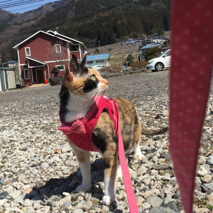 59fc9e5e 2662 4e41 919d 4767fa992d1e 1522213473668