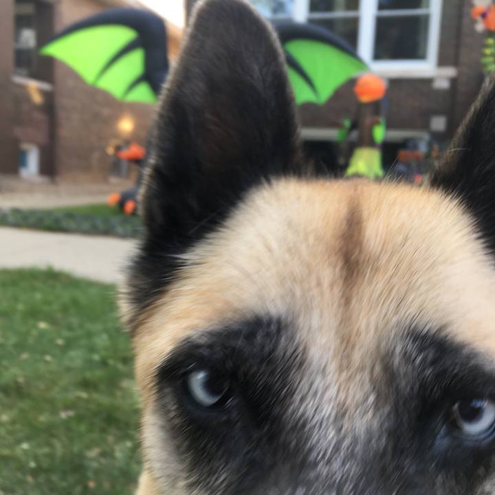 59fcc15e d9a3 4019 a4c6 e76481b11227 1540676382271