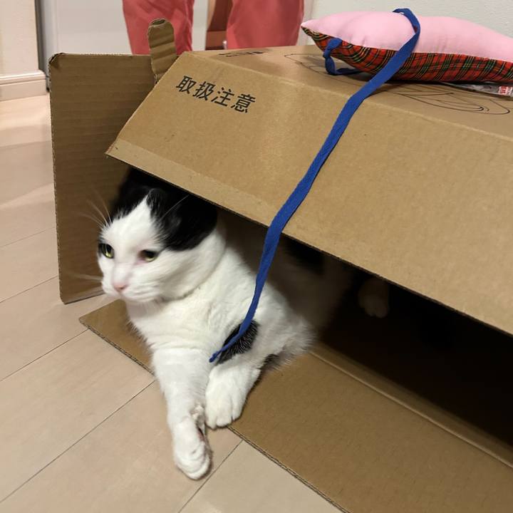 59fcc59b 3fb1 4bf7 ac84 2ab10249402a 1760050704840