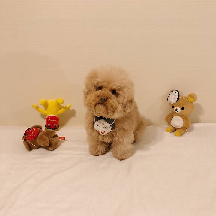 59fd480d 92ee 4848 818e 833d84f5a327 1517651120732