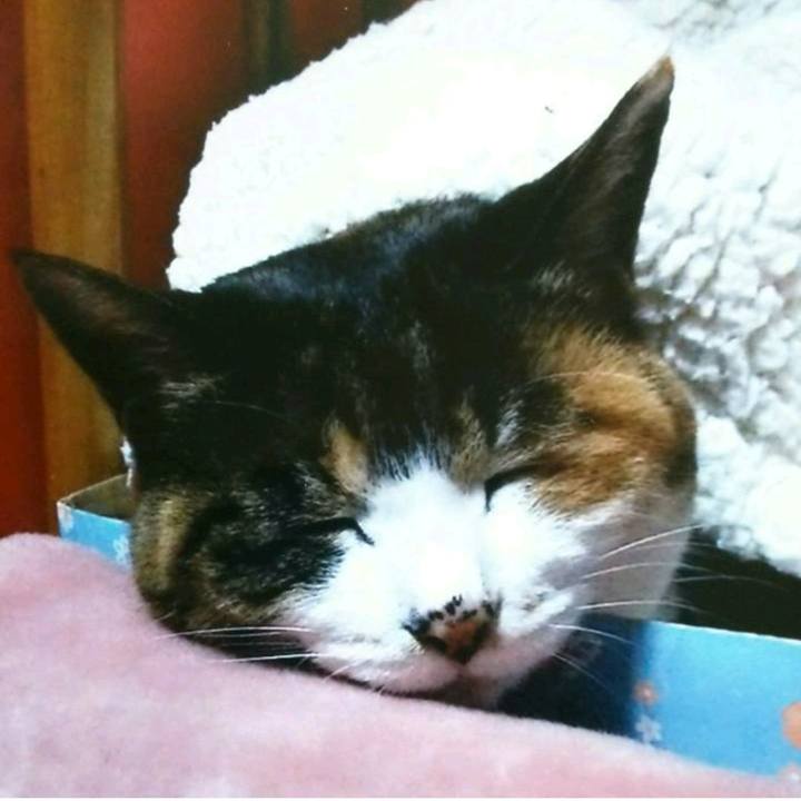 59fd4dc7 6681 4c59 8bed 6a8cce848a9d 1526428333944