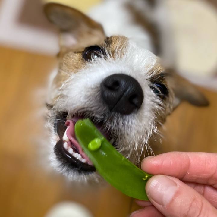 59fd7c4a 9d34 477c b80b 19012ac893fa 1741437595860