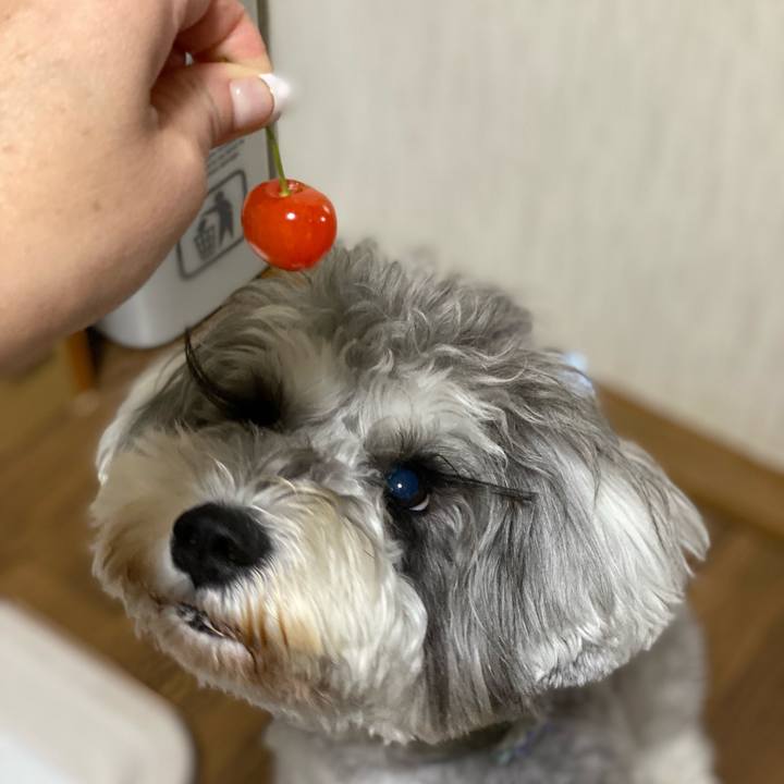 59fdb665 b164 4f63 99c3 a99c0e734b86 1624282329108