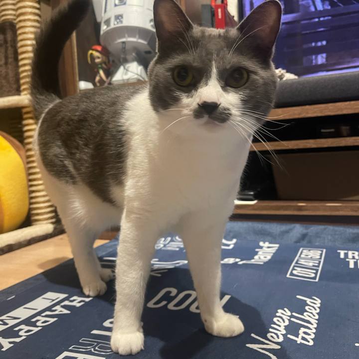 59fdc88f cdb1 408c adee 812551a889e1 1692271752155