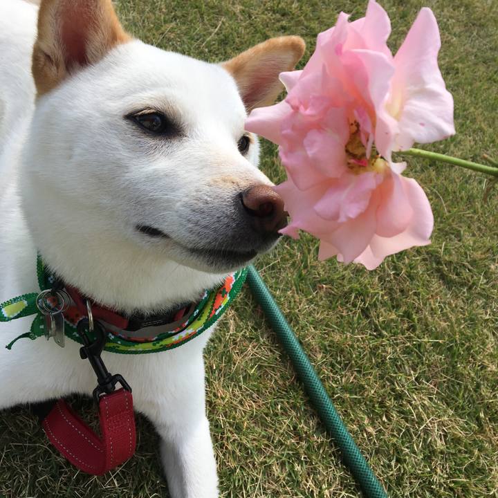 59fddeda 4086 4360 b2c4 6deb1633e752 1542186499448