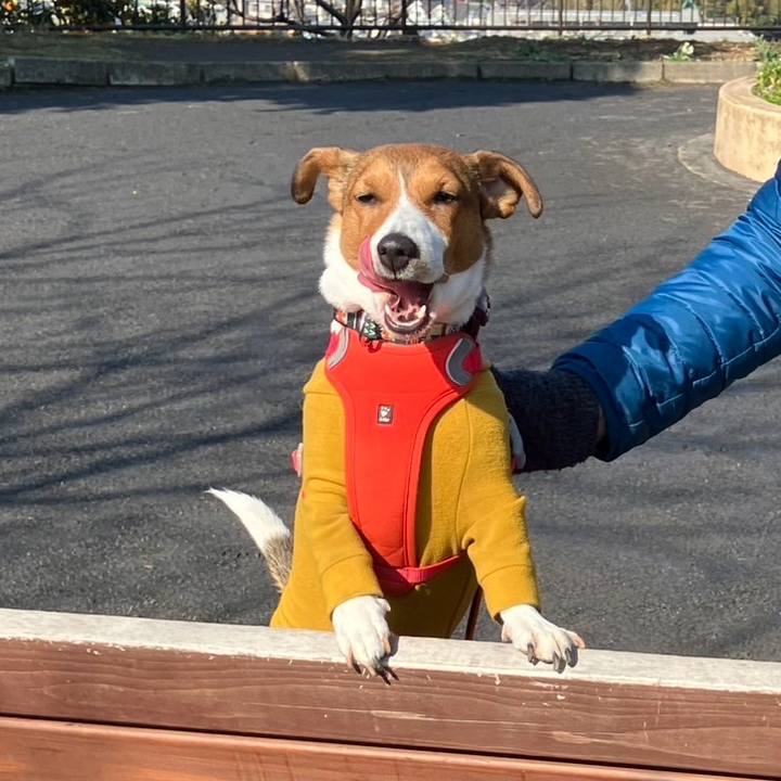 59fdfd61 9e64 4c00 83c1 96b00725a6fb 1741910304261