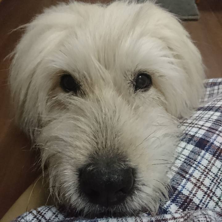 59fe05b8 f417 4386 9137 9d2629725db4 1606128072944