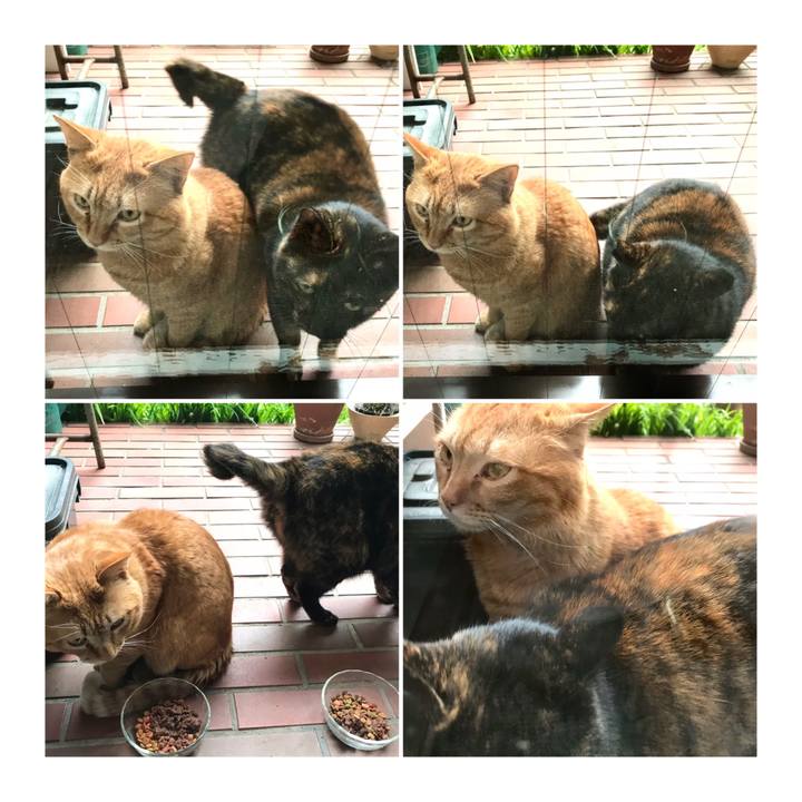 59fe2df8 2565 49a2 a5e4 e6d2db1f3ae9 1617238788261