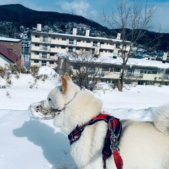 59fe8161 9832 4240 a85e 22a40fb2f6af 1613977474862