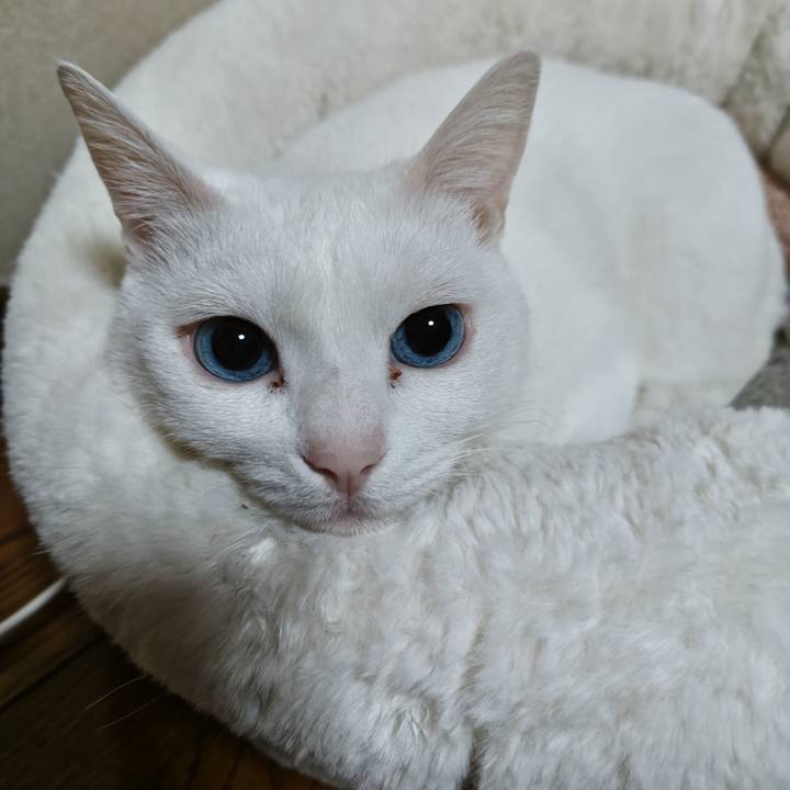 59fe97f7 1a02 4d07 bd8c 2e668f7a599a 1763420372280