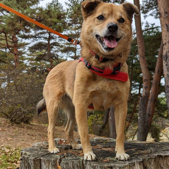 59fe994b 356b 4d7c 8c07 985937f21e0d 1669542498860