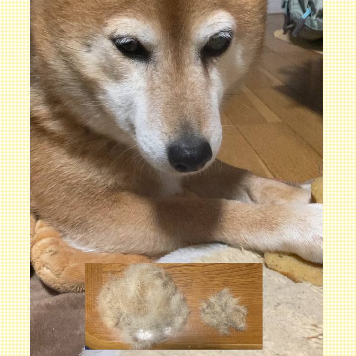 59fecfc6 c652 4099 9c36 95259149aed8 1647504881733