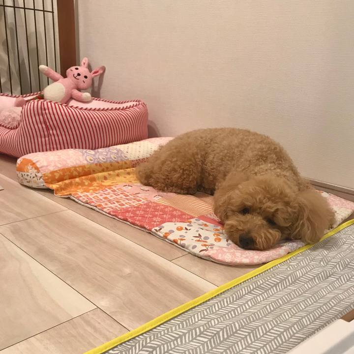 59fee965 fc73 400a aa83 d5f3314f0e26 1559133456111