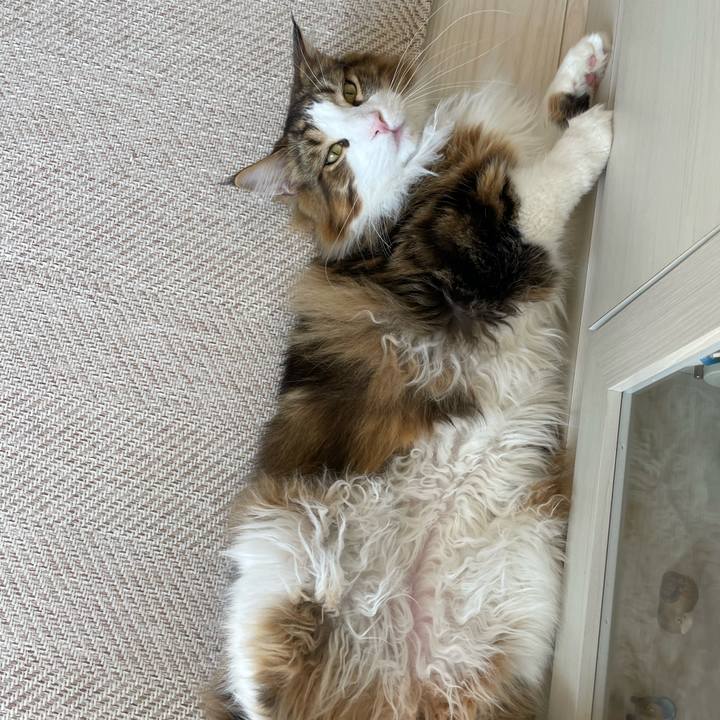 59feec92 cc8a 4e47 908a 0d07a6a05441 1654931232099