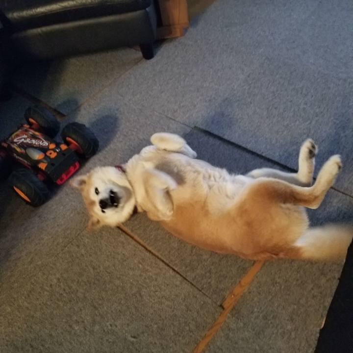 59fefcdb 20b1 41e7 940d 1391e5470df9 1739055739651