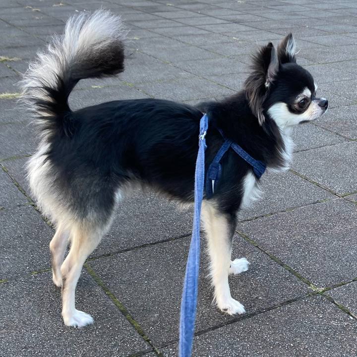 59ff06cc 64ed 4c60 af1e 074e2b94076c 1635082736795