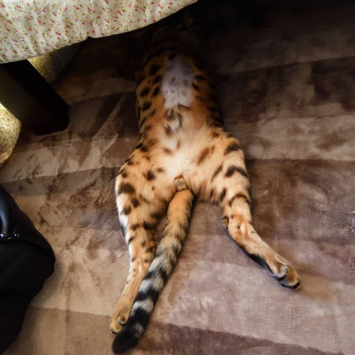 59ff2548 8fe3 488e aa6f cadf00b010f7 1511881043244