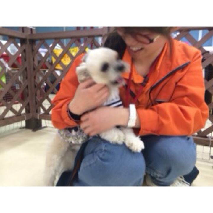 59ff444e 5f8f 49bb b9ec 98cdca077085 1535535417127