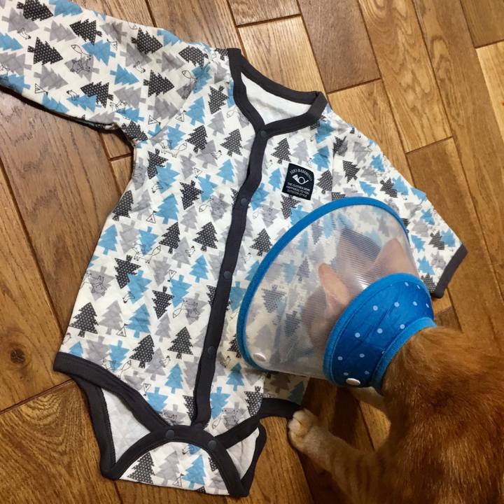 59ff82f3 ccad 4cdc 8c29 df5fde709701 1510915419073