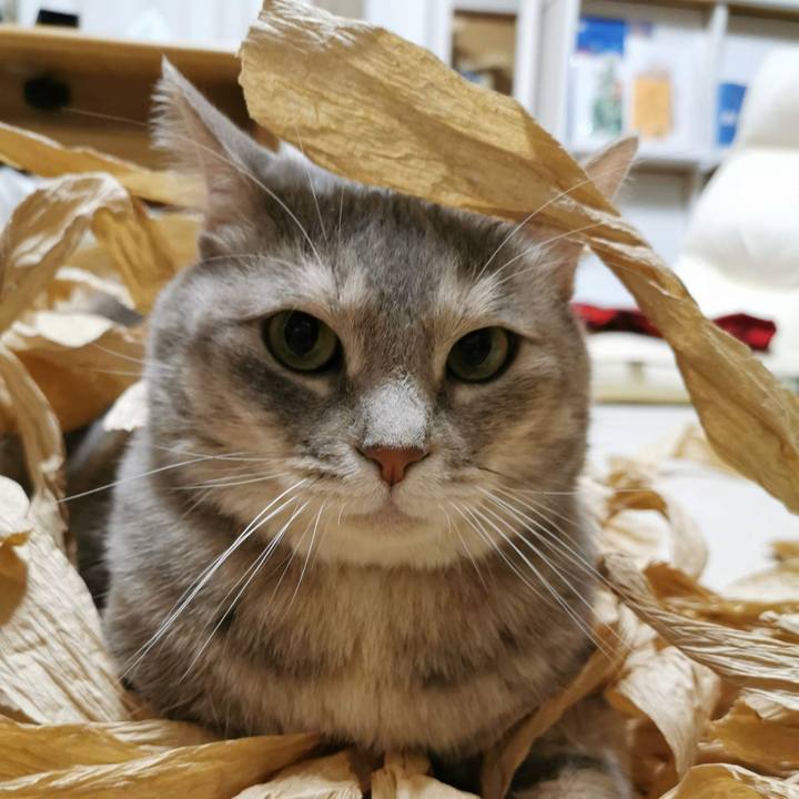 59ff9e59 82dc 492f 9f24 0cf1f552a3db 1626101151734