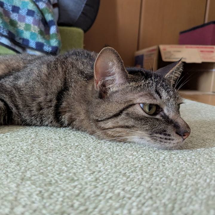 59ffc34b 6763 483d 89f9 ceb67a7cb987 1752735683243