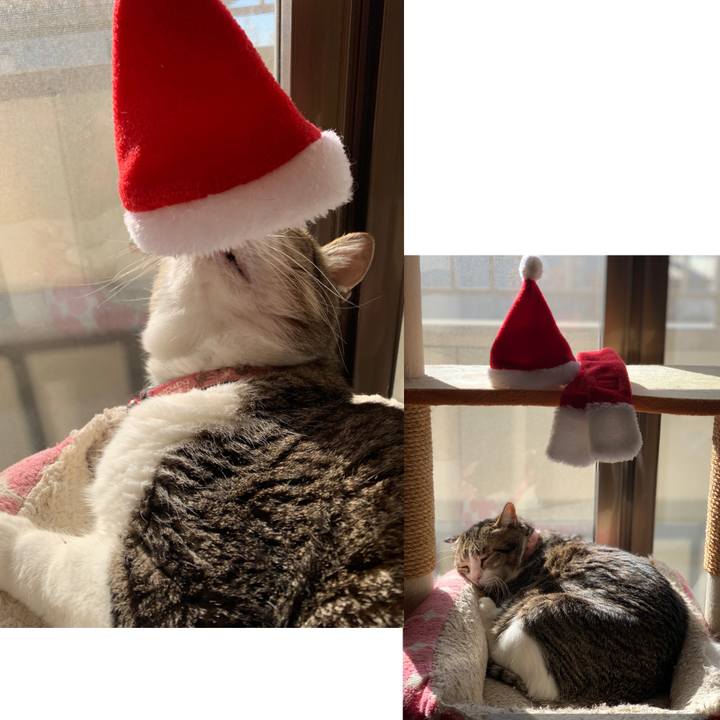 59ffef23 6666 4b51 b2d3 d9b729d3df9e 1734605494011