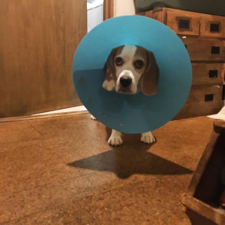 5a001e04 56fb 4199 897c 1be789424f9b 1528727590883