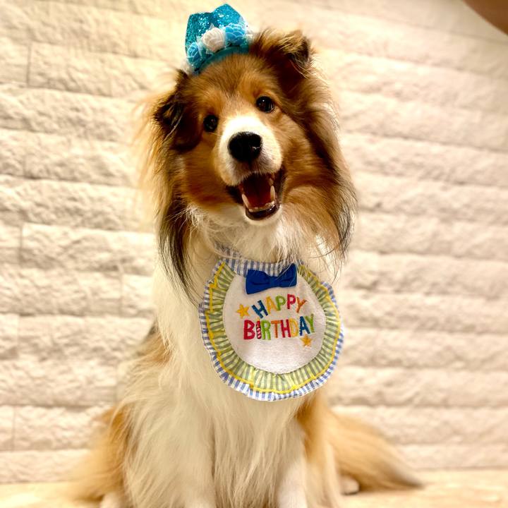 5a006090 1275 4e8c 81f4 e5480014cf80 1662903414579