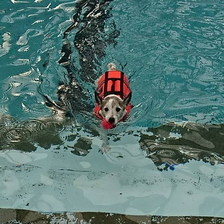 5a007666 025a 4058 8872 f63e8091b449 1652333549758