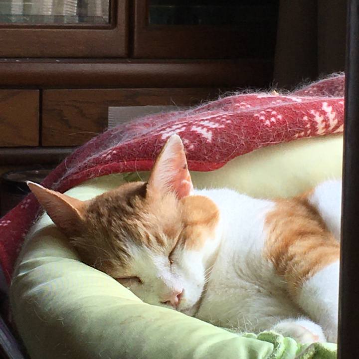 5a0077cb f35e 4954 9823 68a53977c95c 1596857683625