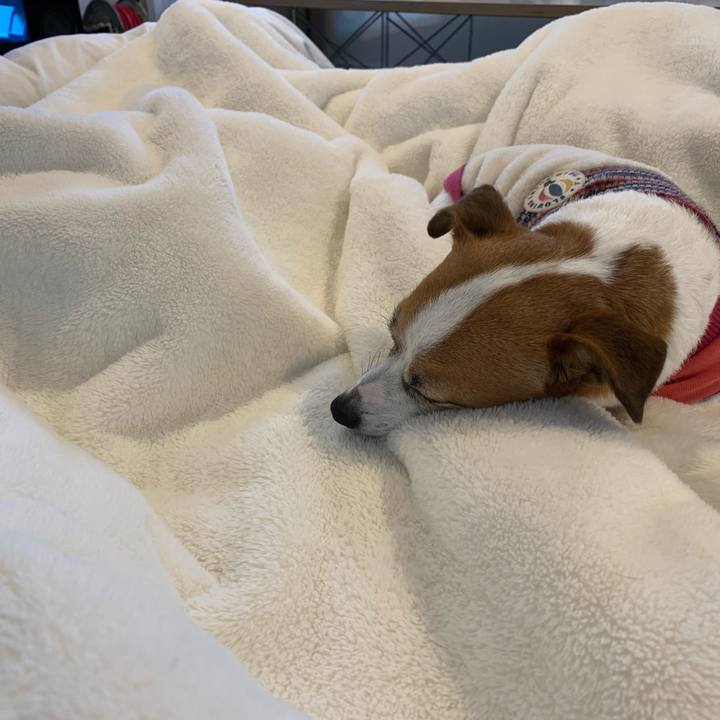 5a007e35 245b 46bf 8f91 2a27739131fd 1583386370543