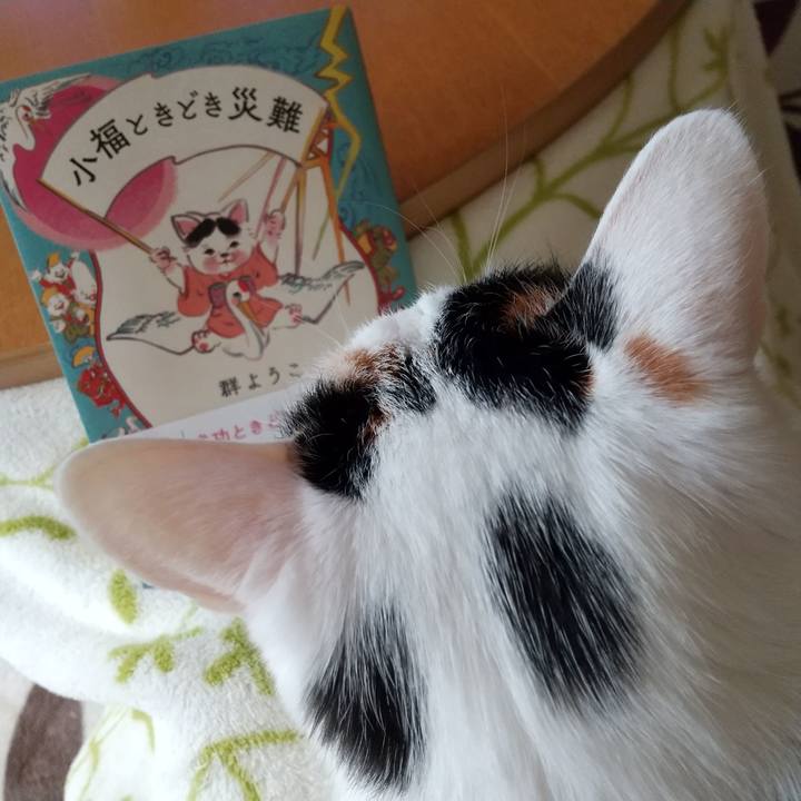 5a009016 bfbc 4e80 967a 1df6656a568c 1620376303671