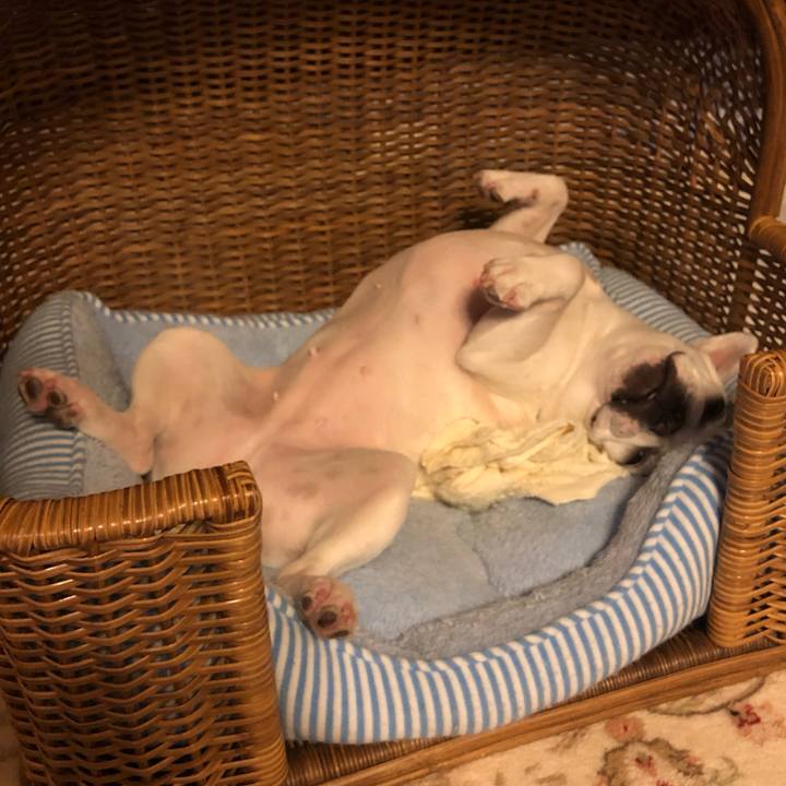 5a00a460 3f50 4b5c ab87 98dd434e7f94 1559363837973