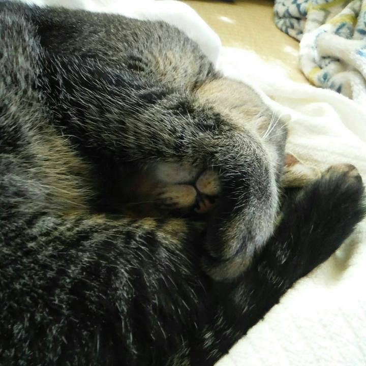 5a00bad2 a786 429b b03a 8df194cd7507 1569455470346