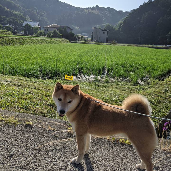 5a00e164 c422 44fa b941 48088f514cdf 1591698138647