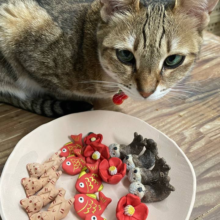 5a010dfb e59b 4d72 81a3 e6c64ce8966b 1733143977814